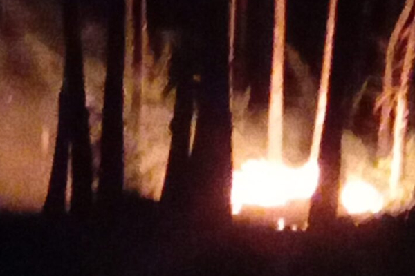 யாழ்ப்பாணம் கசூரினா கடற்கரையில் பாரிய தீ | Fire Breaks Out At Casuarina Beach Jaffna
