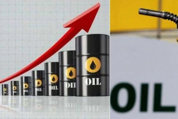 පෙට්‍රල් වලට අලුතින් 10%ක් මිශ්‍ර කරන්න යන දේ මෙන්න..විශාල ලාභයක්..