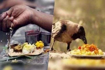 இன்று ஆடி அமாவாசை... காகத்திற்கு உணவு வைத்தால் வீட்டில் பணம் பெருகுமா?