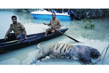 அசாமில் கனமழையால் கடும் வெள்ளப்பெருக்‍கு - காண்டாமிருகம் உள்ளிட்ட 24 அரிய வகை விலங்குகள் பலி!