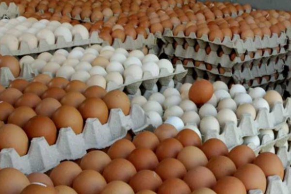 ரூபா 70 ஐ தாண்டியது முட்டை விலை - மக்கள் கடும் விசனம் | An Egg Jumps 70