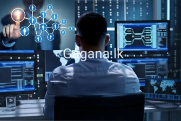 ඩොලර් කෝටි 10ක මුදලක් ගනුදෙනු කළ පිරමීඩ් සමාගම ගැන ගත් තීරණය මෙන්න..