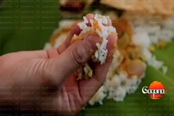 රටේ ආහාර හිඟයක් හැමෝම අවදානමෙන්