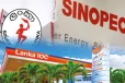 எரிபொருள் விலையில் திடீர் மாற்றம்! சினோபெக்கின் விலைகள் வெளியீடு