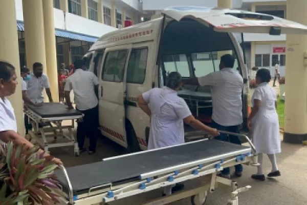 குளவி கொட்டுக்கு இலக்கான ஐவர் வைத்தியசாலையில் | Workers Stung By Wasps Hospitalized