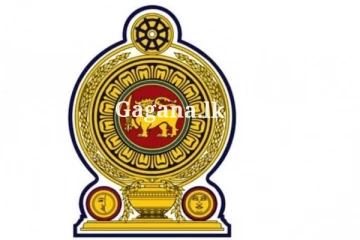 රාජ්‍ය සේවයට යන්න ඉන්න පිරිසකගේ හීන හැබෑ වෙයි - සුබ පණිවිඩයක් මෙන්න.. (PHOTOS)