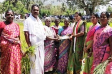 மூதாட்டியிடம் ஓலை நெய்து வாக்கு சேகரித்த அதிமுக வேட்பாளர்!