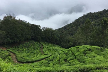 விரைவில் நடைமுறைப்படுத்தப்படவுள்ள மலைப் பத்தாண்டுத் திட்டம்!