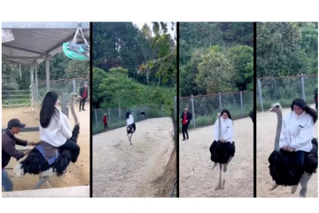 நெருப்புக்கோழி மீது சவாரி செய்த பெண்... - வைரலாகும் வீடியோ...!