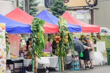 கனடாவில் கோலாகலமாக ஆரம்பமாகும் தமிழர் தெருவிழா ....