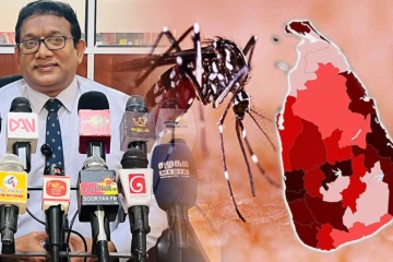 மன்னார் மாவட்டத்தில் இதுவரை 47 டெங்கு நோயாளர்கள் அடையாளம் - மக்களுக்கு அவசர அறிவிப்பு
