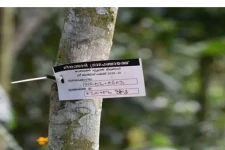 மரம் வளர்த்தால் வட்டியில்லா கடன்- எங்கு தெரியுமா?