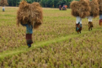දිස්ත්‍රික්ක 07ක අඩු ආදායම් ලාභින් සදහා දීමනාවක්..