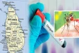 இலங்கையில் டெங்கு அச்சுறுத்தல் தீவிரம்! ஒரே நாளில் ஆயிரத்திற்கும் மேற்பட்டோர் பாதிப்பு