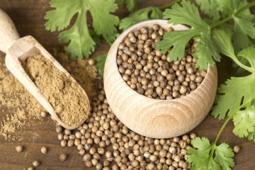 கொத்தமல்லி விதையில் ஒளிந்துள்ள ரகசியங்கள்! இத்தனை நோய்களை போக்குமா?