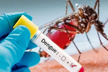 ඩෙංගු රෝගීන් සංඛ්‍යාව සහ මරණ සංඛ්‍යාව ඉහළට. - අධි අවදානම් කලාප මෙන්න.