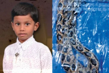 தன்னை கடித்த கொடிய விஷமுள்ள கண்ணாடி விரியன் பாம்புடன் சிகிச்சைக்கு வந்த 7 வயது சிறுவன்! அதிர்ந்து போய் நின்ற மருத்துவர்கள்