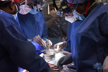 விஞ்ஞான உலகையே மிரள வைத்த மருத்துவர்கள்.... திடீரென கிடைத்த ஐடியா! பன்றி இதயத்தில் வாழும் மனிதன்