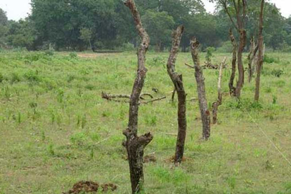 யாழ். பலாலியில் இராணுவத்தினர் வசமுள்ள காணியை விடுவிக்க கோரிக்கை | Presidential Secretariat Orders To Soldiers