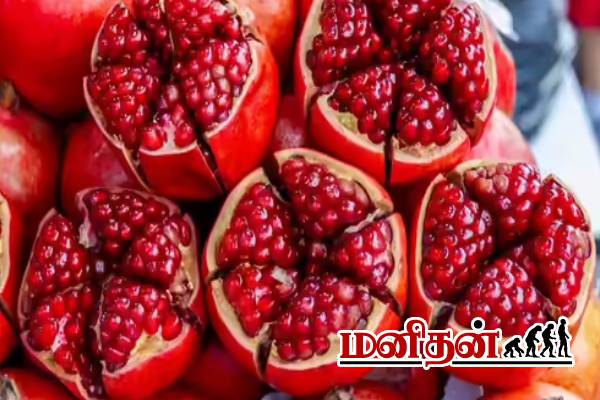 றீச்ஷா பண்ணையில் காய்த்து குலுங்கும் மாதுளம் பழம்- அமோக விளைச்சல் | Pomegranate Benefits For Men In Tamil Reecha