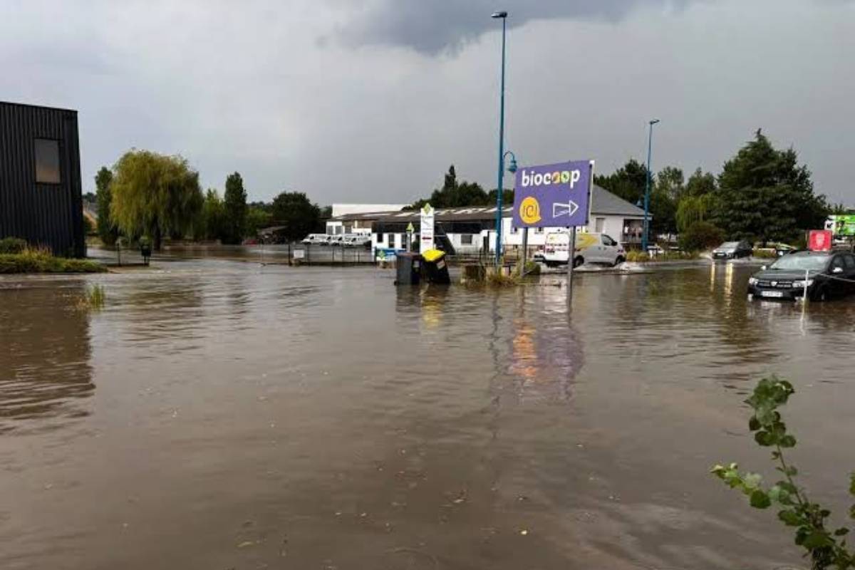 ஒரு பக்கம் வெப்பம்... மறுபக்கம் புயல்: பிரான்சில் இருவர் பலி | Heatwave And Storms Affect France 2 Dies ஒரு பக்கம் வெப்பம்... மறுபக்கம் புயல்: பிரான்சில் இருவர் பலி | Heatwave And Storms Affect France 2 Dies