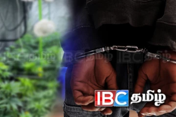 கட்டுநாயக்காவில் உள்ள ஹோட்டலில் தங்கியிருந்த வெளிநாட்டவர் கைது