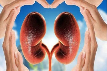 சிறுநீரகத்தை பாதுகாப்பது எப்படி? இந்த டிப்ஸ்களை முறையாக பின்பற்றுங்கள்!