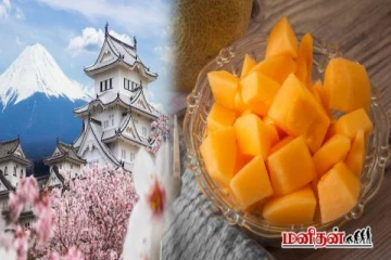 உலகின் மிகவும் ஆடம்பரமான பழம் - ஒரு பழத்தின் விலை இத்தனை ஆயிரமா?