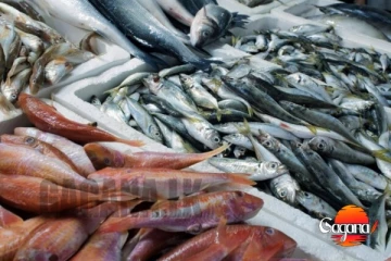 මේ මාස 6ට විතරක් මත්ස්‍ය ආනයන වියදම ඩොලර් මිලියන 343ක්