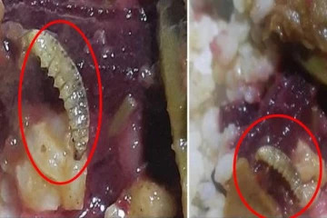 வவுனியா பிரபல உணவகத்தில்  உணவு வாங்கியவருக்கு காத்திருந்த அதிர்ச்சி!