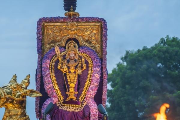 நல்லூர் கந்தசுவாமி ஆலயத்தில் கந்தசஷ்டி விரதம் | Skanda Sashti Nallur Kandaswamy Temple நல்லூர் கந்தசுவாமி ஆலயத்தில் கந்தசஷ்டி விரதம் | Skanda Sashti Nallur Kandaswamy Temple