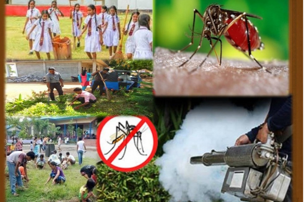 நாளை ஒரு மணிநேர டெங்கு தடுப்பு வேலைத்திட்டம்! சுகாதார சேவைகள் பணியகம் நடவடிக்கை - ஐபிசி தமிழ்