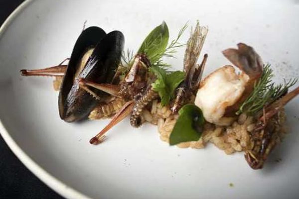 பூச்சிகளை சாப்பிட அனுமதி - திடீர் ஷாக் கொடுக்கும் பிரபல நாடு! | Allowed Eat Insects Singapore Govt Consideration