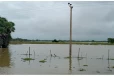 நந்திக்கடலோர வயல் நிலங்களை மூடிய வெள்ளம் : விவசாயிகள் கவலையில்(Photos)
