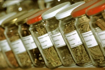 நாட்டில் அரசாங்கம் முன்னெடுக்கவுள்ள புதிய திட்டம்