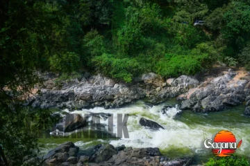 මහවැලියත් අනතුරේ