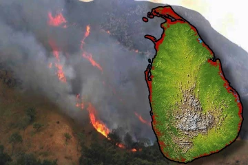 இலங்கையில் நிலவும் வறட்சியான காலநிலையினால் அதிகரிக்கும் காட்டுத்தீ