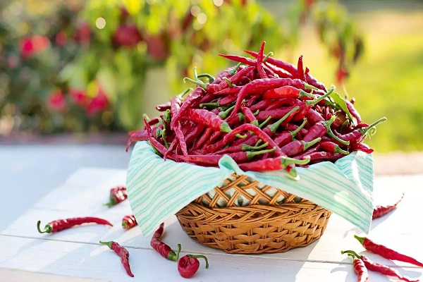 உடல் எடை குறைக்க... மாரடைப்பு கட்டுப்படுத்தும் ஒரே ஒரு மசாலா! யாரெல்லாம் சாப்பிடக்கூடாது? | Red Chilli Powder Weight Loss Benefits In Tamil