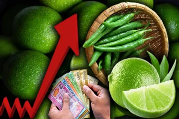 சடுதியாக அதிகரித்த எலுமிச்சை விலை