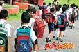 நாட்டிலுள்ள சிறுவர்கள் தொடர்பில் வெளியான அதிர்ச்சி தகவல்