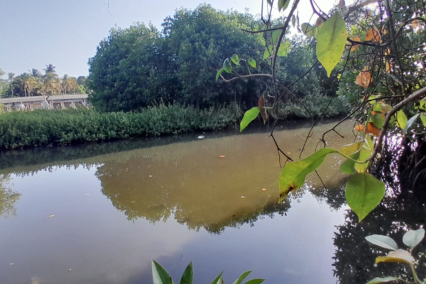 மீன்பிடிக்க சென்றவர் சடலமாக மீட்பு; தமிழர் பகுதியில் துயரம் | Body Of Man Went Fishing In Trincomalee Recovered