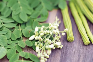 இளமையை அதிகரிக்க செய்யும் கீரை
