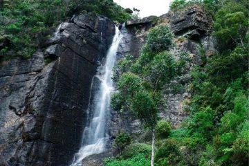 Lover's leap Waterfall: இயற்கை எழில் கொஞ்சும் இலங்கையின் நீர்வீழ்ச்சி.., பெயருக்கு பின்னால் இருக்கும் காரணம்