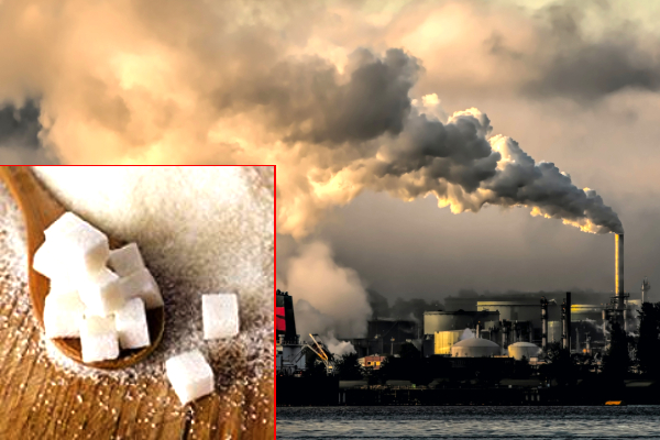 CO2 வாயுவை உணவாக மாற்றி சீன விஞ்ஞானிகள் சாதனை | China Converts Co2 Into Sugar New Technology