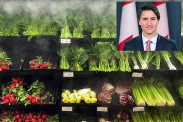 மளிகை பொருட்கள் தள்ளுபடி கட்டணம் இன்று தொடங்குகிறது - ஜஸ்டின் ட்ரூடோ அறிவிப்பு