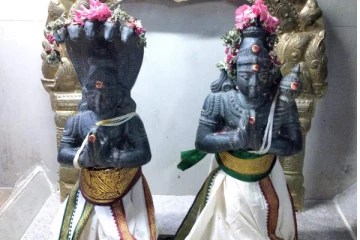 சனி விட்டாலும் 2023 இல் ராகுவிடாது! அதிக ஆபத்துக்களை சந்திக்கும் ராசிக்காரர்கள் யார்யார் தெரியுமா?