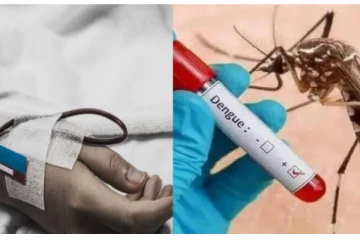 அதிகரிக்கும் டெங்கு நோய் : 10 பிரதேசங்கள் அபாய வலயங்களாக அறிவிப்பு