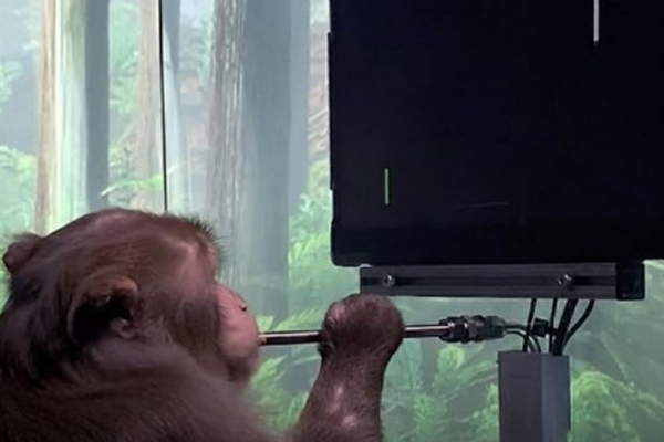 குரங்குகள் கொண்டு நடத்தப்படும் சோதனை | Experiments Conducted With Monkeys