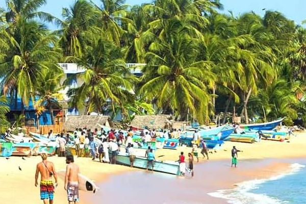 இலங்கை வரும் சுற்றுலாப் பயணிகளுக்கு வெளியான முக்கிய தகவல்! | Tourism App Safety Of Tourists Coming To Sri Lanka