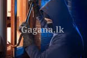 දෙමහල් නිවසකට පැන දේපළ කොල්ල කා පළා ගිහින් - කාන්තාවකුත් පිරිස අතර..